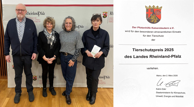 Foto Preisverleihung vom 2.03.2026